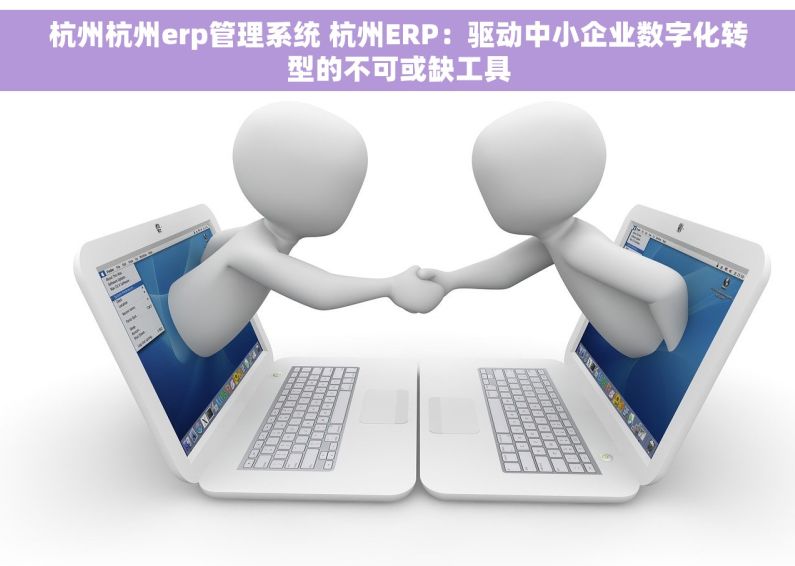 杭州杭州erp管理系统 杭州ERP：驱动中小企业数字化转型的不可或缺工具