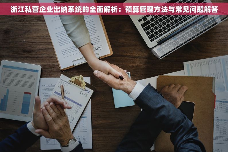 浙江私营企业出纳系统的全面解析：预算管理方法与常见问题解答