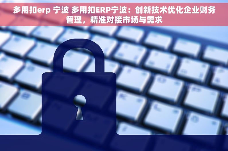 多用扣erp 宁波 多用扣ERP宁波：创新技术优化企业财务管理，精准对接市场与需求