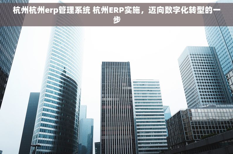 杭州杭州erp管理系统 杭州ERP实施，迈向数字化转型的一步