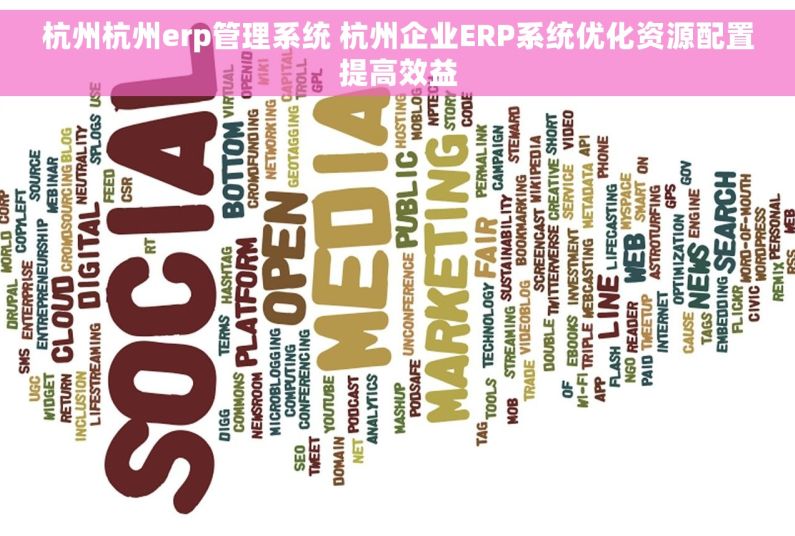 杭州杭州erp管理系统 杭州企业ERP系统优化资源配置提高效益