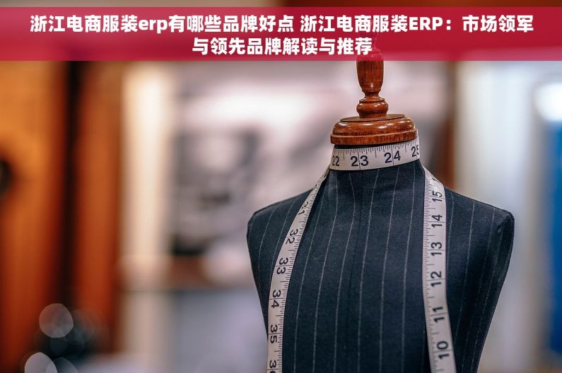 浙江电商服装erp有哪些品牌好点 浙江电商服装ERP：市场领军与领先品牌解读与推荐