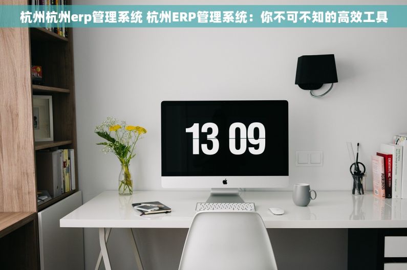 杭州杭州erp管理系统 杭州ERP管理系统：你不可不知的高效工具