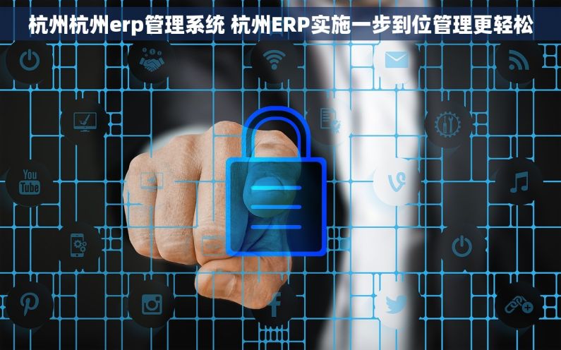 杭州杭州erp管理系统 杭州ERP实施一步到位管理更轻松