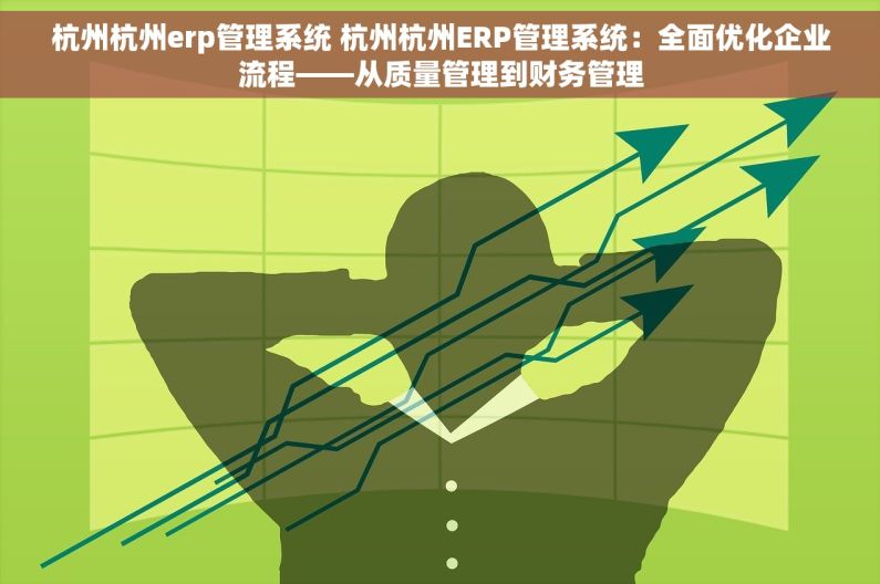 杭州杭州erp管理系统 杭州杭州ERP管理系统：全面优化企业流程——从质量管理到财务管理