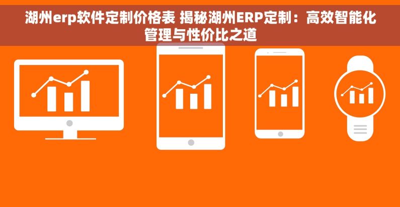湖州erp软件定制价格表 揭秘湖州ERP定制：高效智能化管理与性价比之道