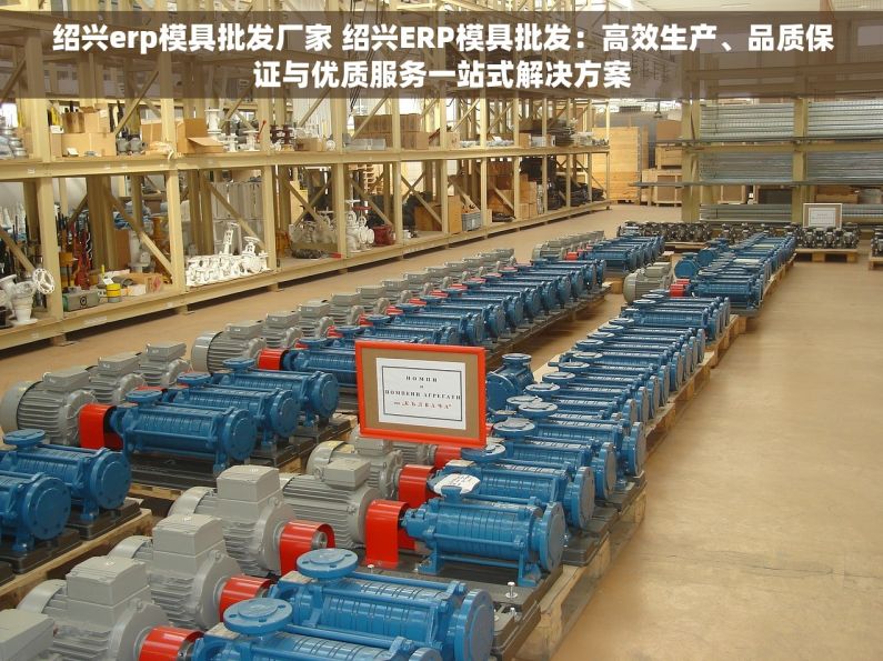绍兴erp模具批发厂家 绍兴ERP模具批发：高效生产、品质保证与优质服务一站式解决方案