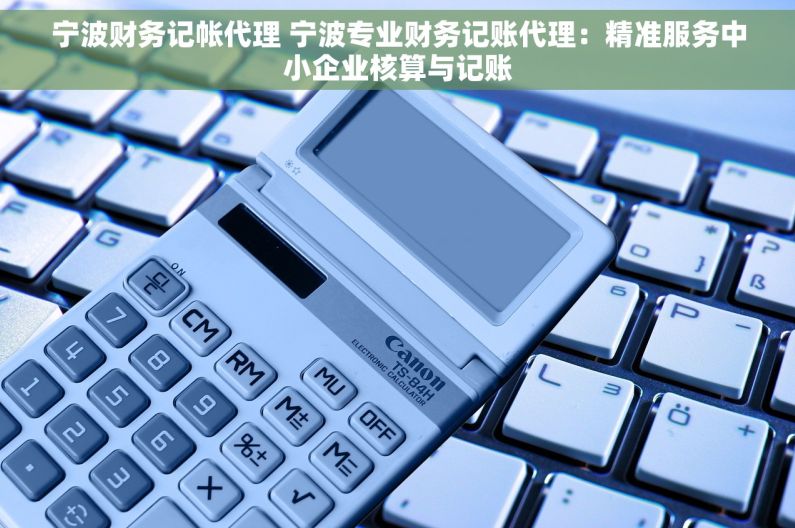宁波财务记帐代理 宁波专业财务记账代理：精准服务中小企业核算与记账