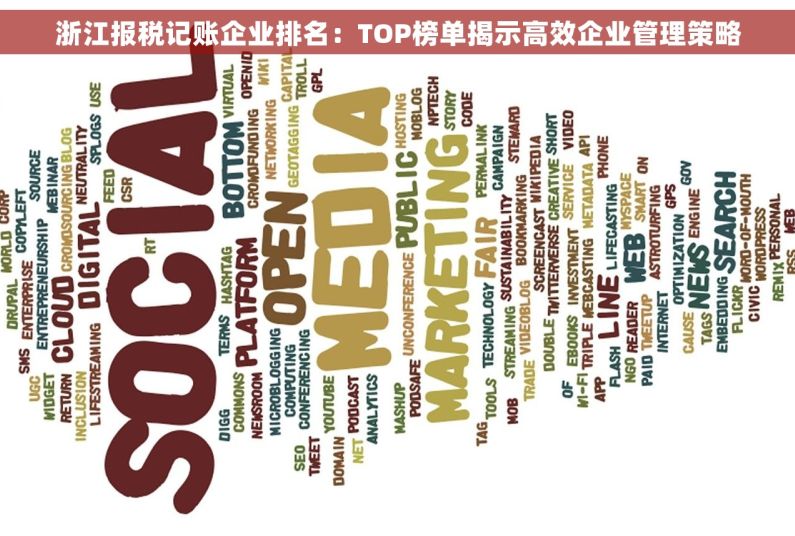 浙江报税记账企业排名：TOP榜单揭示高效企业管理策略
