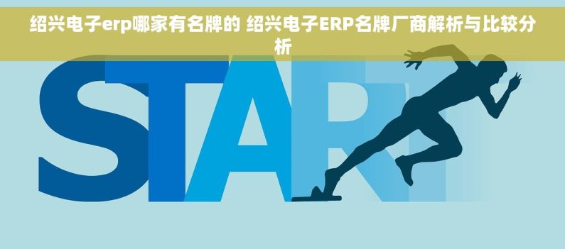 绍兴电子erp哪家有名牌的 绍兴电子ERP名牌厂商解析与比较分析