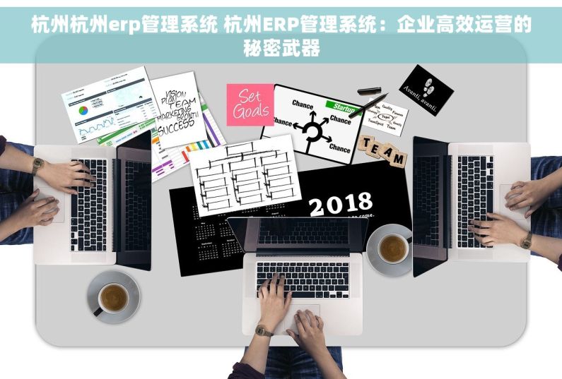 杭州杭州erp管理系统 杭州ERP管理系统：企业高效运营的秘密武器