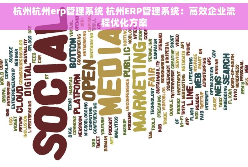 杭州杭州erp管理系统 杭州ERP管理系统：高效企业流程优化方案