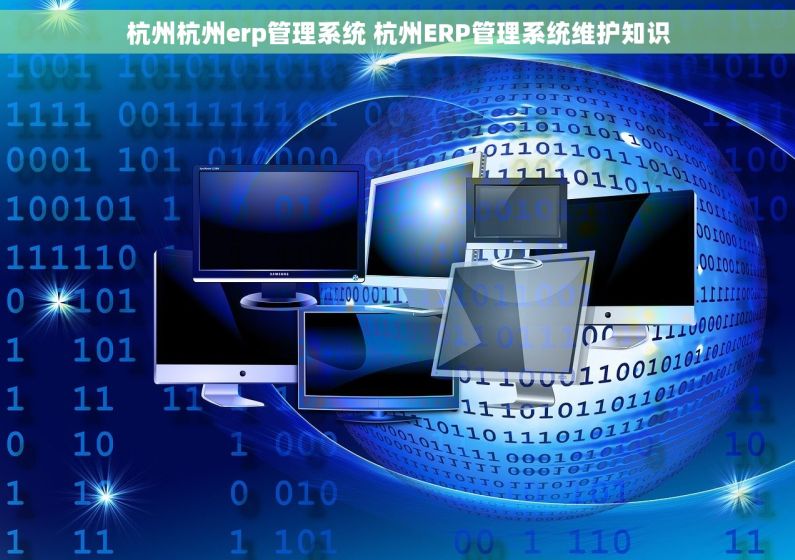 杭州杭州erp管理系统 杭州ERP管理系统维护知识