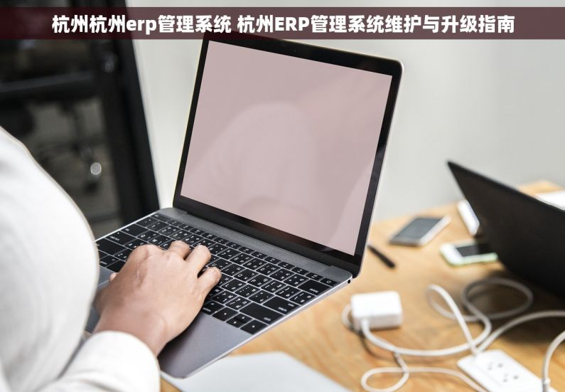 杭州杭州erp管理系统 杭州ERP管理系统维护与升级指南
