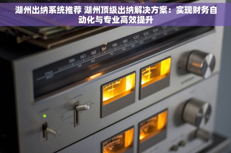 湖州出纳系统推荐 湖州顶级出纳解决方案：实现财务自动化与专业高效提升