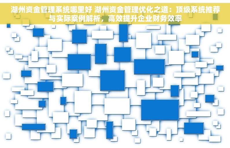 湖州资金管理系统哪里好 湖州资金管理优化之道：顶级系统推荐与实际案例解析，高效提升企业财务效率
