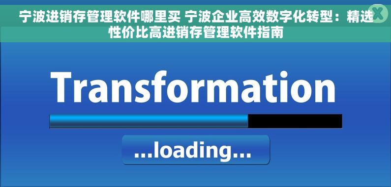 宁波进销存管理软件哪里买 宁波企业高效数字化转型：精选性价比高进销存管理软件指南