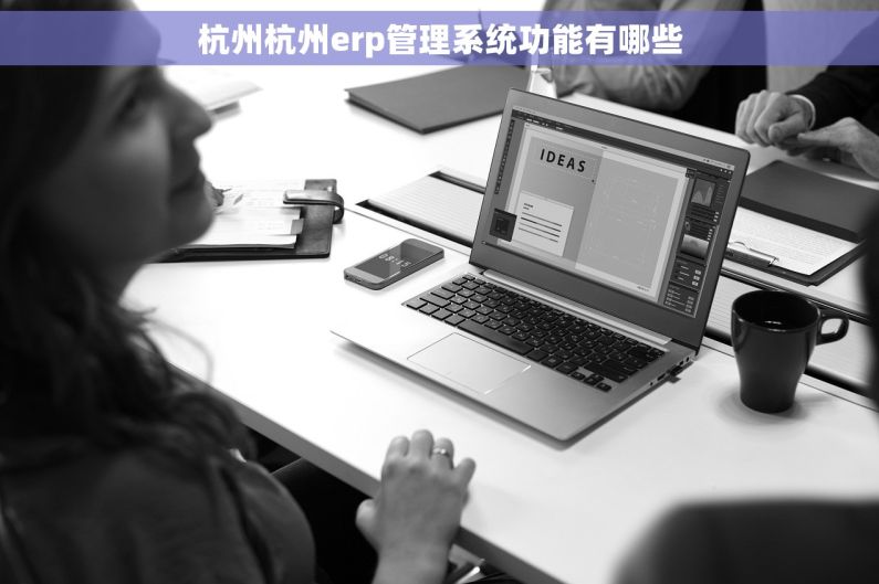 杭州杭州erp管理系统功能有哪些