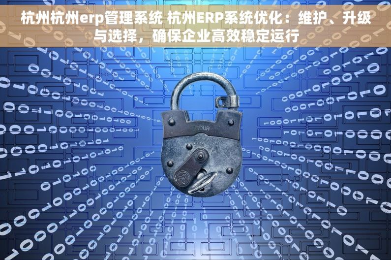 杭州杭州erp管理系统 杭州ERP系统优化：维护、升级与选择，确保企业高效稳定运行