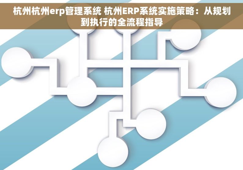杭州杭州erp管理系统 杭州ERP系统实施策略：从规划到执行的全流程指导