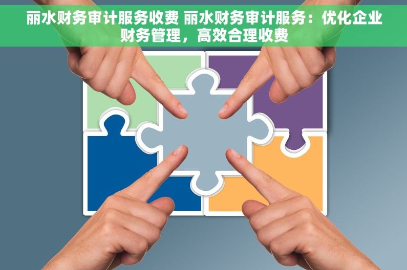 丽水财务审计服务收费 丽水财务审计服务：优化企业财务管理，高效合理收费