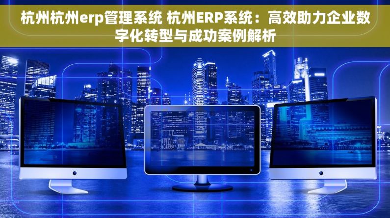 杭州杭州erp管理系统 杭州ERP系统：高效助力企业数字化转型与成功案例解析