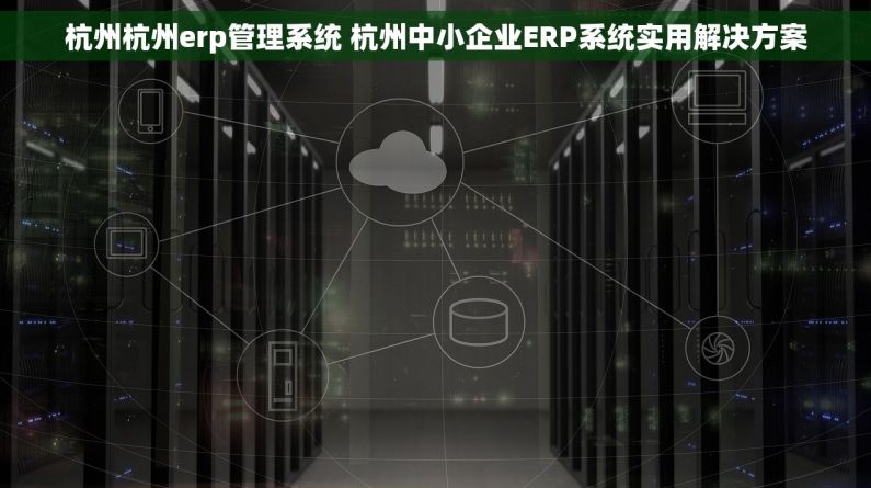 杭州杭州erp管理系统 杭州中小企业ERP系统实用解决方案