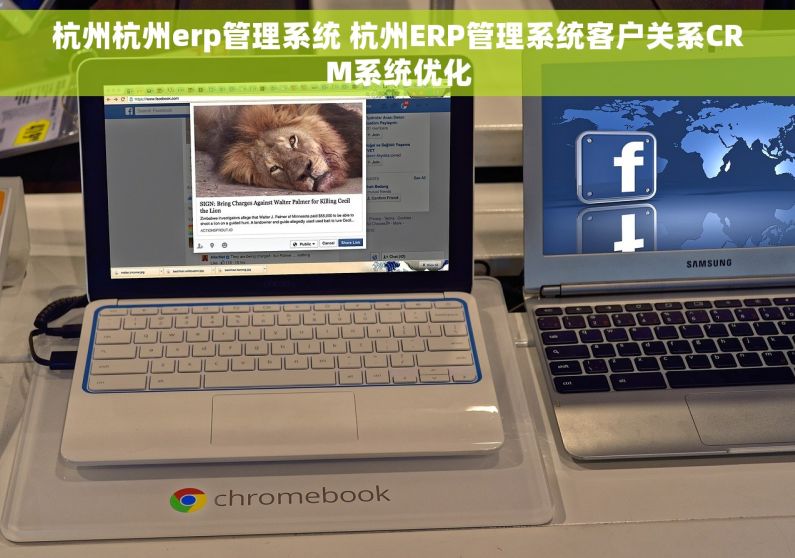 杭州杭州erp管理系统 杭州ERP管理系统客户关系CRM系统优化