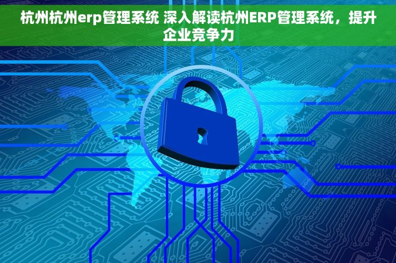 杭州杭州erp管理系统 深入解读杭州ERP管理系统，提升企业竞争力