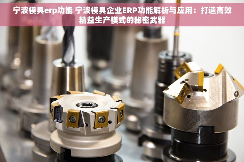 宁波模具erp功能 宁波模具企业ERP功能解析与应用：打造高效精益生产模式的秘密武器
