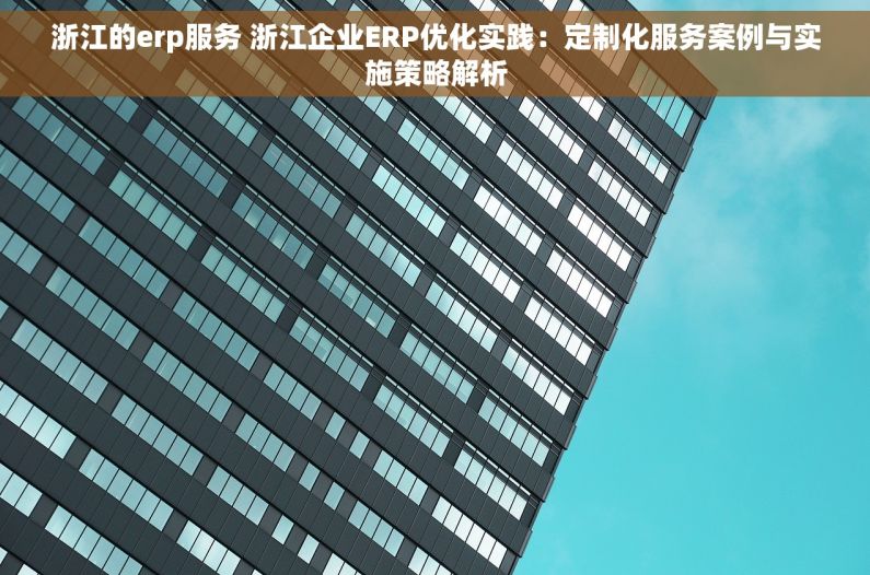 浙江的erp服务 浙江企业ERP优化实践：定制化服务案例与实施策略解析