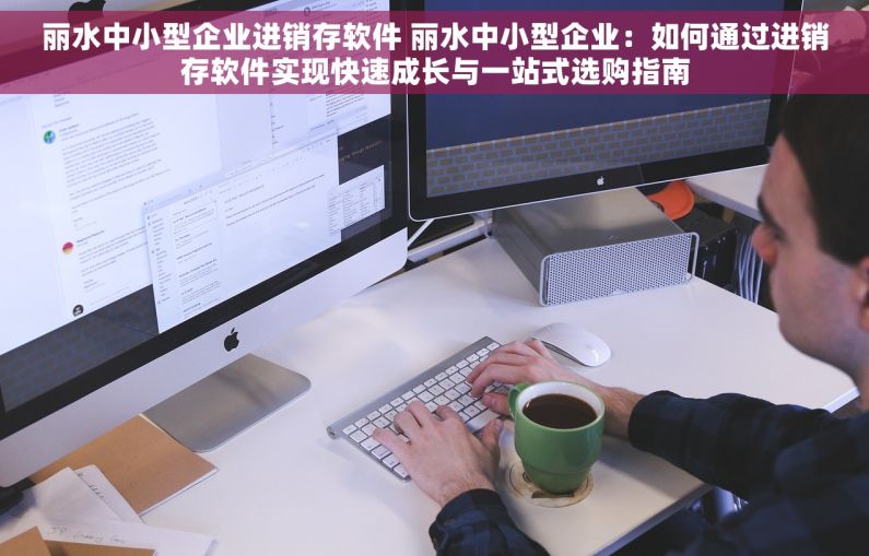 丽水中小型企业进销存软件 丽水中小型企业：如何通过进销存软件实现快速成长与一站式选购指南