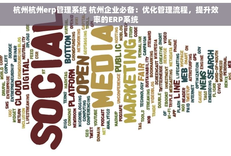 杭州杭州erp管理系统 杭州企业必备：优化管理流程，提升效率的ERP系统