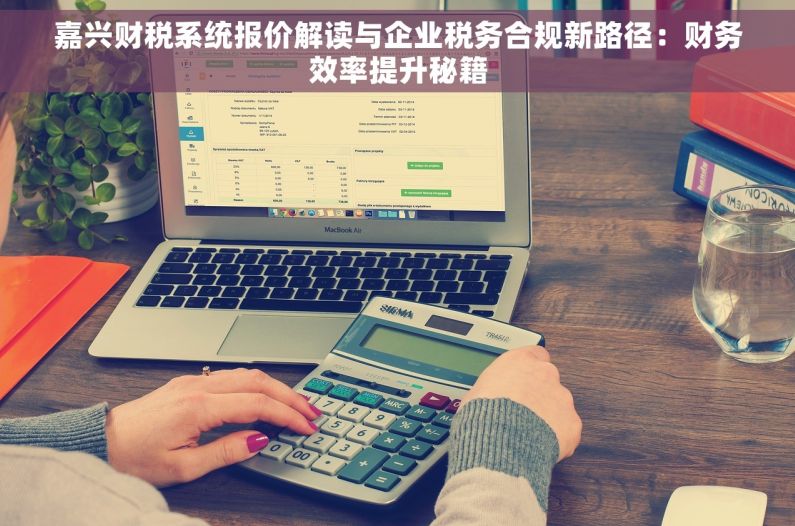 嘉兴财税系统报价解读与企业税务合规新路径：财务效率提升秘籍