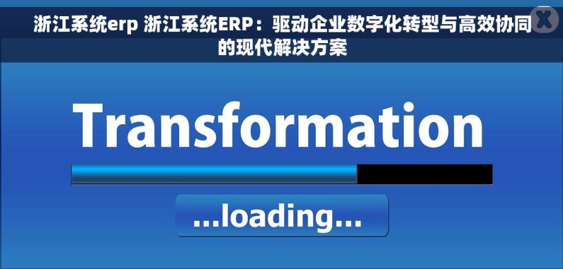 浙江系统erp 浙江系统ERP：驱动企业数字化转型与高效协同的现代解决方案
