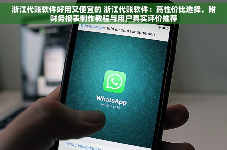 浙江代账软件好用又便宜的 浙江代账软件：高性价比选择，附财务报表制作教程与用户真实评价推荐