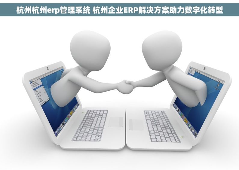杭州杭州erp管理系统 杭州企业ERP解决方案助力数字化转型