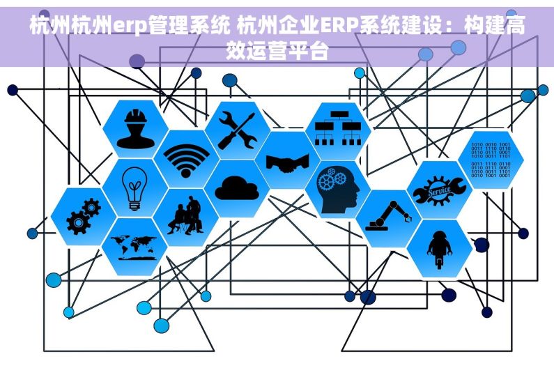杭州杭州erp管理系统 杭州企业ERP系统建设：构建高效运营平台