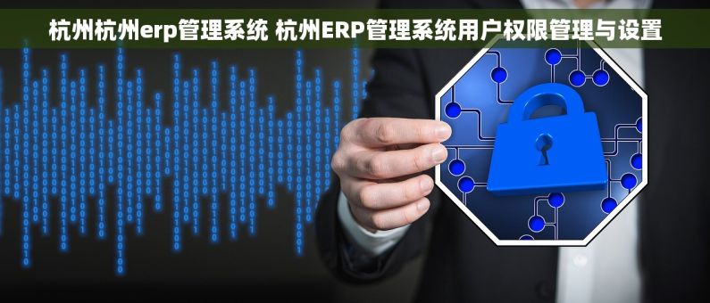 杭州杭州erp管理系统 杭州ERP管理系统用户权限管理与设置