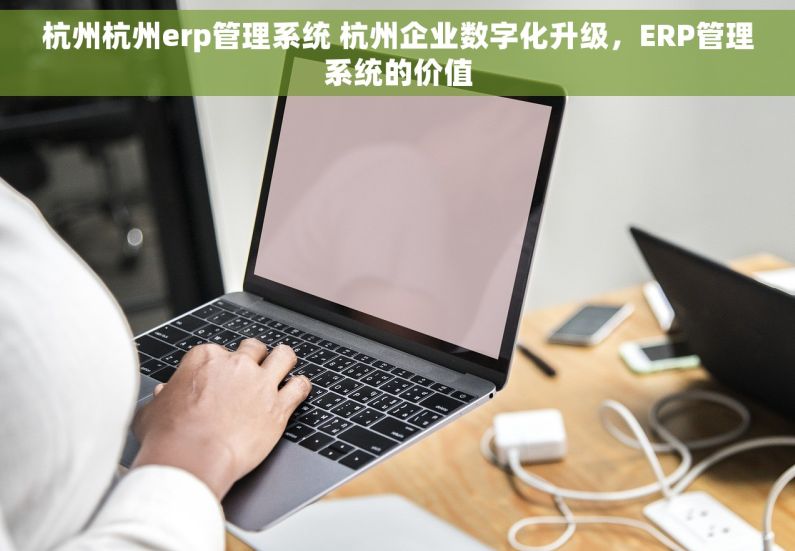 杭州杭州erp管理系统 杭州企业数字化升级，ERP管理系统的价值