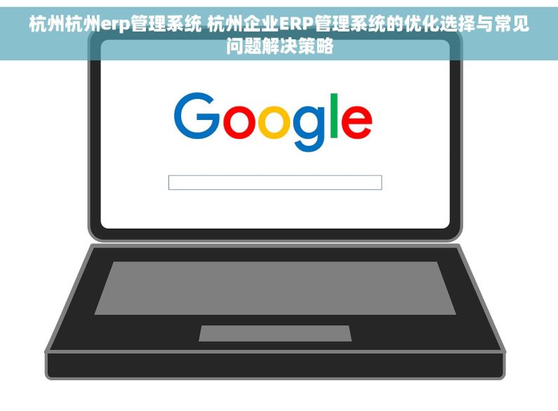 杭州杭州erp管理系统 杭州企业ERP管理系统的优化选择与常见问题解决策略