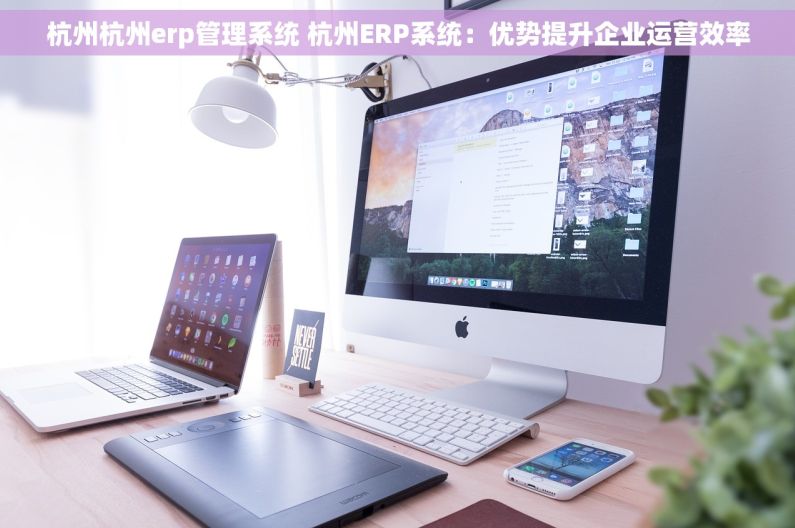 杭州杭州erp管理系统 杭州ERP系统：优势提升企业运营效率