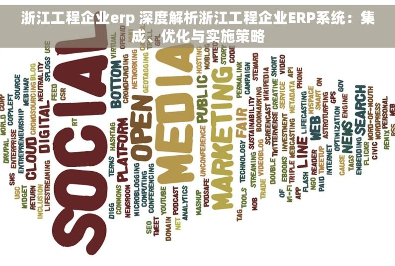 浙江工程企业erp 深度解析浙江工程企业ERP系统：集成、优化与实施策略