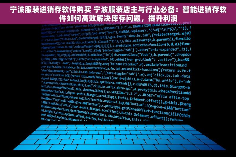 宁波服装进销存软件购买 宁波服装店主与行业必备：智能进销存软件如何高效解决库存问题，提升利润
