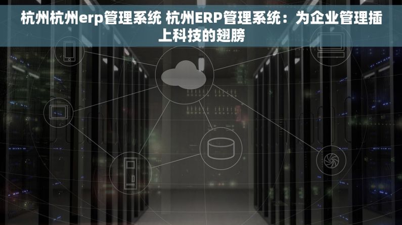 杭州杭州erp管理系统 杭州ERP管理系统：为企业管理插上科技的翅膀