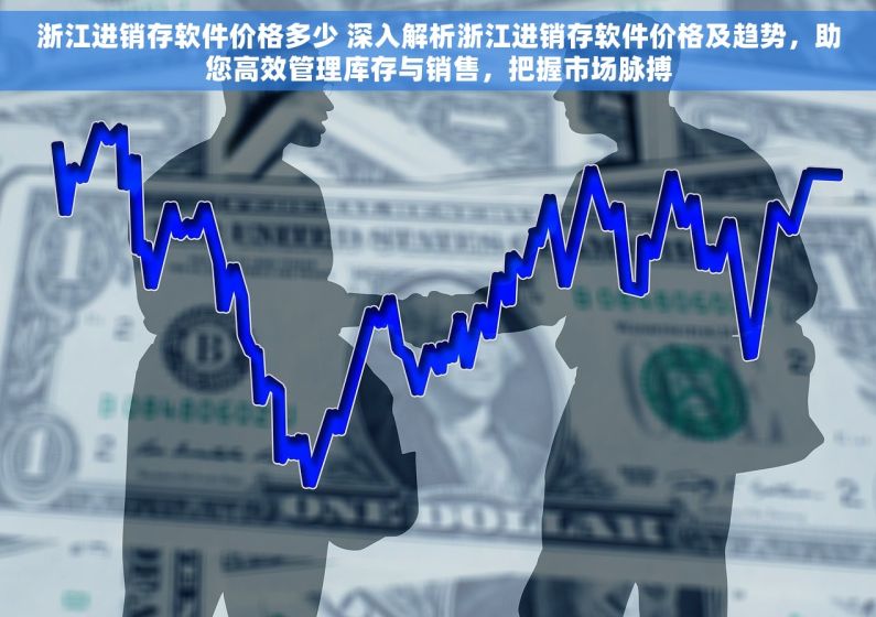 浙江进销存软件价格多少 深入解析浙江进销存软件价格及趋势，助您高效管理库存与销售，把握市场脉搏