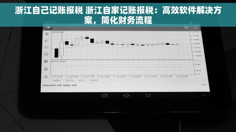 浙江自己记账报税 浙江自家记账报税：高效软件解决方案，简化财务流程