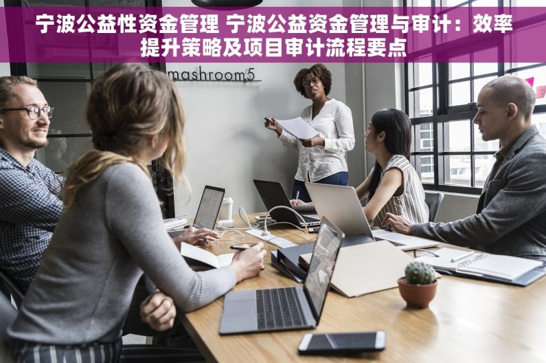 宁波公益性资金管理 宁波公益资金管理与审计：效率提升策略及项目审计流程要点