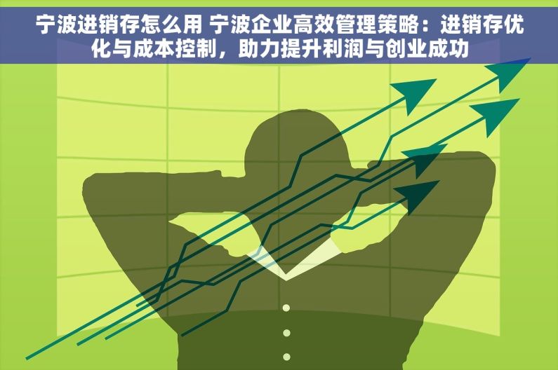 宁波进销存怎么用 宁波企业高效管理策略：进销存优化与成本控制，助力提升利润与创业成功
