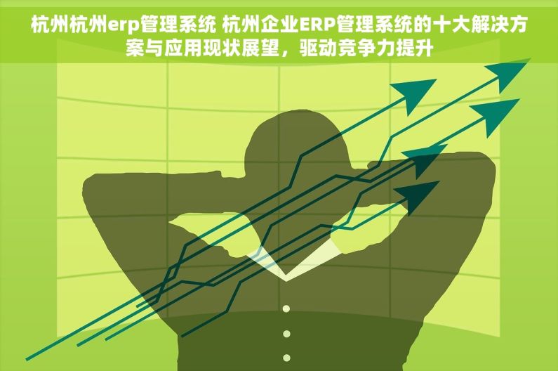 杭州杭州erp管理系统 杭州企业ERP管理系统的十大解决方案与应用现状展望，驱动竞争力提升
